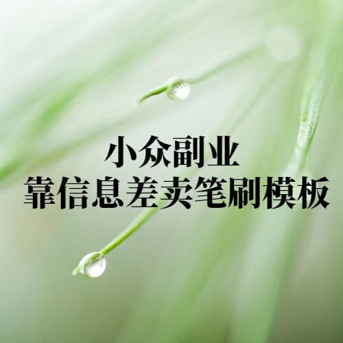小众副业 靠信息差卖笔刷模板-项目创薪