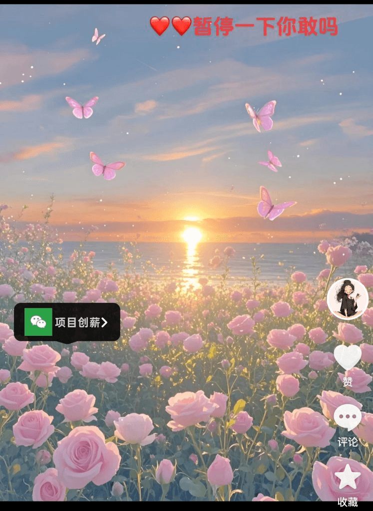 外面299的 抖音暂停弹出微信截流教程拆解-项目创薪