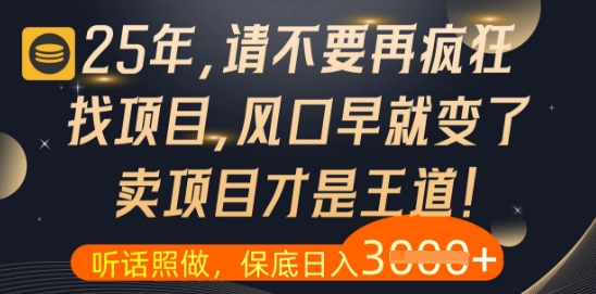 什么？25年你还在疯狂找项目做，醒醒吧，看完这些你全都懂了【揭秘】-项目创薪