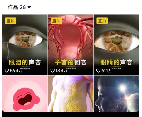 抖音坚果3D动画科普项目，撸视频号分成和抖音伙伴计划，适合零基础小白-项目创薪