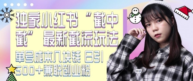 最新小红书截流玩法 独家截中截 单号成本几块钱 日引500+CY粉JZ粉-项目创薪