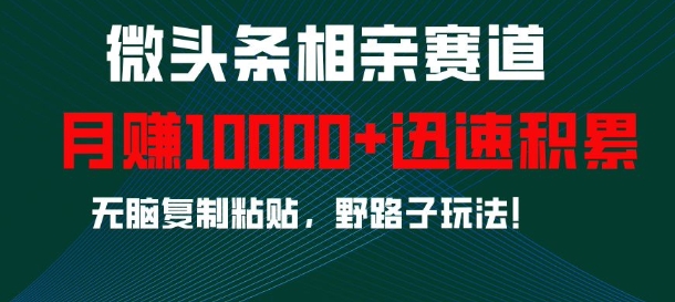 微头条相亲赛道，迅速积累，无脑复制粘贴，野路子玩法，月入1w-项目创薪