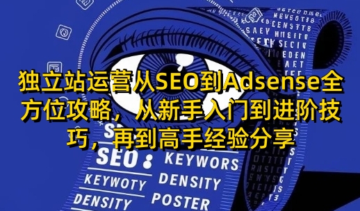 独立站运营从SEO到Adsense全方位攻略，从新手入门到进阶技巧，再到高手经验分享-项目创薪