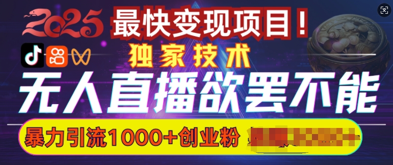 欲罢不能的无人直播引流，超暴力日引流1000+高质量精准创业粉-项目创薪