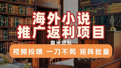 海外小说推广返利项目，视频投喂， 一刀不剪，矩阵批量-项目创薪