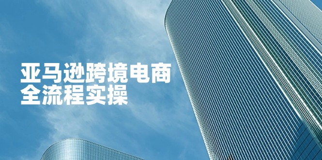 亚马逊跨境电商全流程实操，教你从零开始，掌握店铺运营与广告技巧-项目创薪