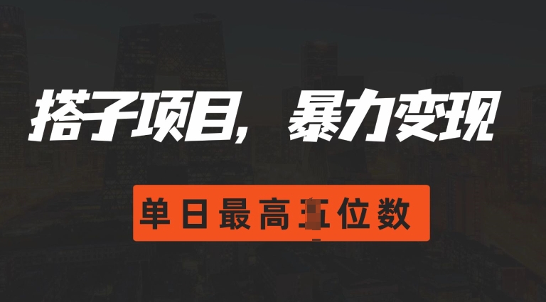 2024搭子玩法，0门槛，暴力变现，单日最高破四位数【揭秘】-项目创薪