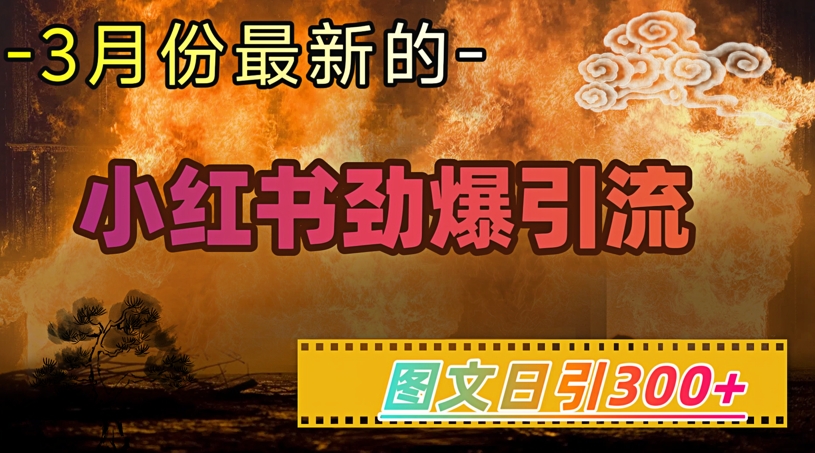 小红书超劲爆引流手段，图文日引300+轻松变现1W-项目创薪