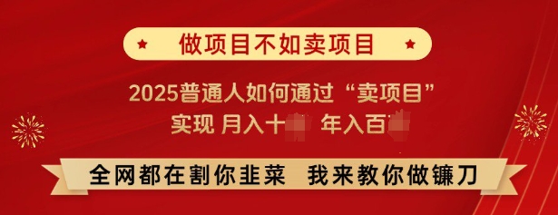 必看，做项目不如卖项目，2025普通人如何通过“卖项目”实现月入十个，年入百个-项目创薪