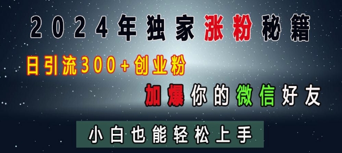 2024年独家涨粉秘籍，日引流300+创业粉，加爆你的微信好友，小白也能轻松上手-项目创薪