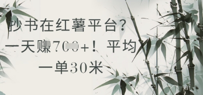 抄书在小红薯平台？平均一单30米，一天收益几张！-项目创薪