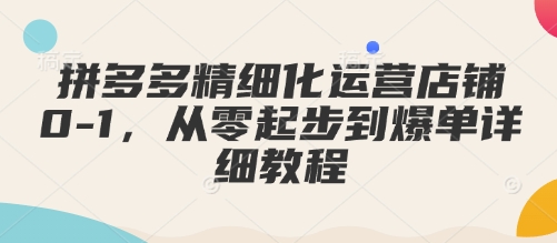 拼多多精细化运营店铺0-1，从零起步到爆单详细教程-项目创薪