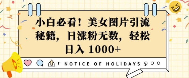 小白必看，美女图片引流秘籍，日涨粉无数，轻松日入几张【揭秘】-项目创薪