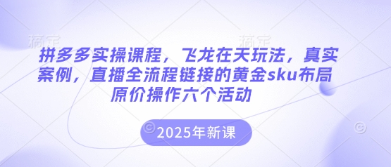 拼多多实操课程，飞龙在天玩法，真实案例，直播全流程链接的黄金sku布局原价操作六个活动-项目创薪