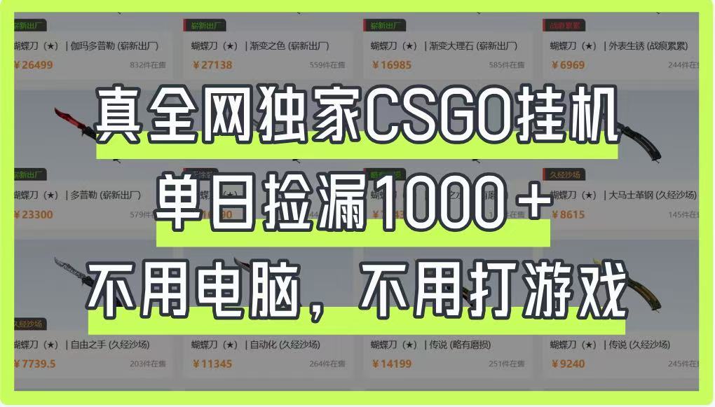 真全网独家CSGO挂机，单日捡漏1000+，不用电脑，不用养号-项目创薪
