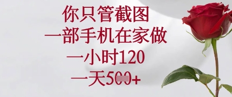 你只管截图，一部手机在家做，苹果安卓都可以，一小时120，一天5张+【揭秘】-项目创薪