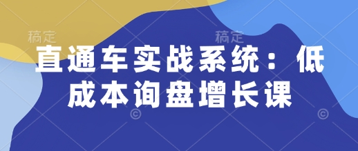 直通车实战系统：低成本询盘增长课，让个人通过技能实现升职加薪，让企业低成本获客，订单源源不断-项目创薪