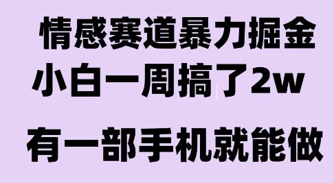 情感暴力掘金项目，新人操作一周挣了2W，长期稳定小白可做【揭秘】-项目创薪