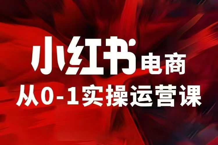 小红书电商运营，97节小红书vip内部课，带你实现小红书赚钱-项目创薪