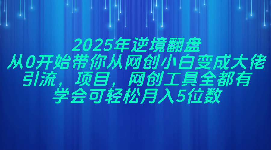 2025年逆境翻盘，从0开始带你从网创小白变成大佬，引流，项目，网创工…-项目创薪