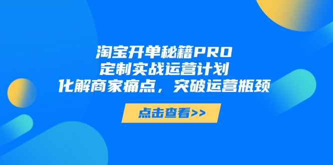 淘宝开单秘籍PRO，定制实战运营计划，化解商家痛点，突破运营瓶颈-项目创薪