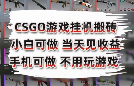 CSGO游戏挂G搬砖，小白纯手机即可操作，不用电脑打游戏，日入3张+，副业网创项目【揭秘】-项目创薪