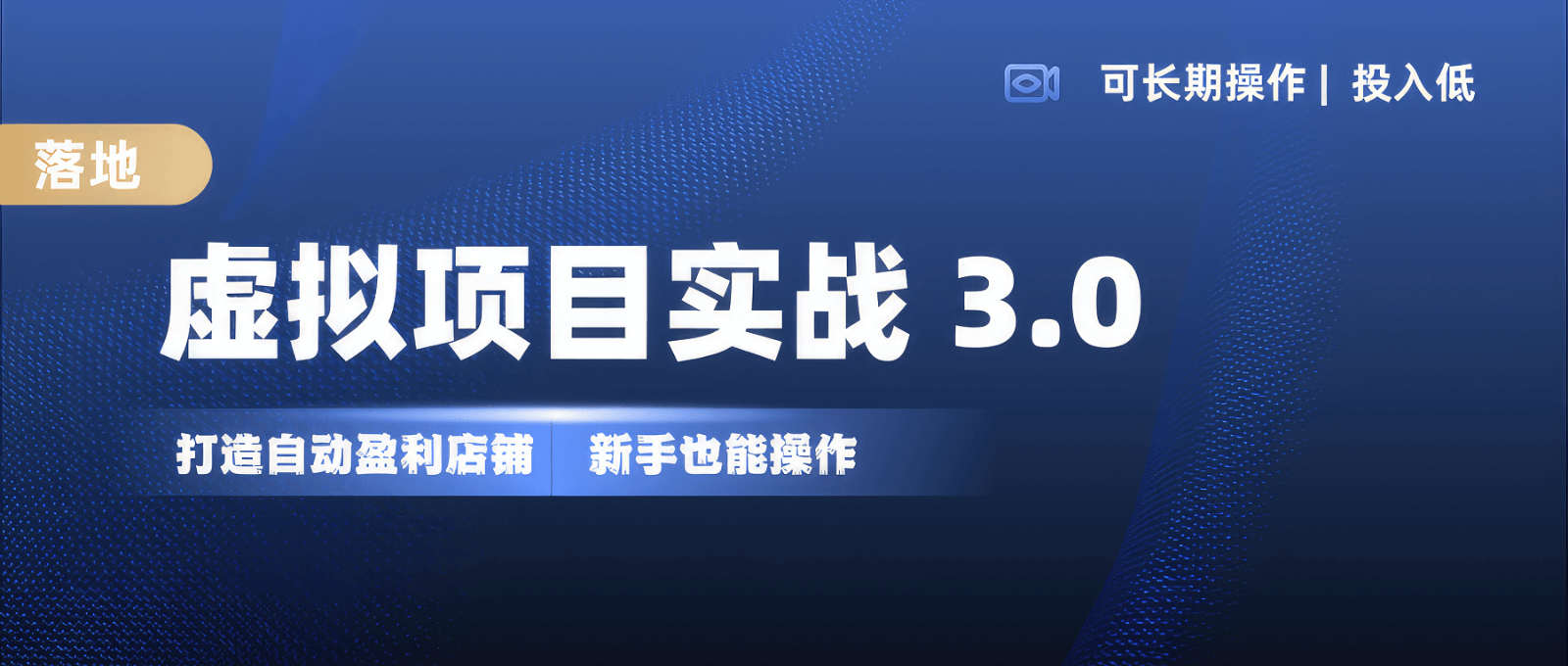 虚拟项目实操落地 3.0,新手轻松上手，单品月入1W+-项目创薪