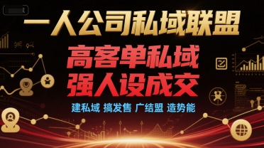 一人公司私域联盟，高客单私域，强人设成交，建私域 搞发售 广结盟 造势能-项目创薪