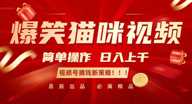 爆笑猫咪视频：简单操作，日入过K，视频号搞钱新策略【揭秘】-项目创薪