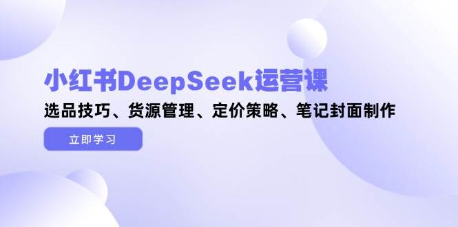 小红书DeepSeek运营课，选品技巧、货源管理、定价策略、笔记封面制作-项目创薪