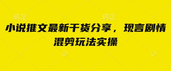 小说推文最新干货分享，现言剧情混剪玩法实操-项目创薪