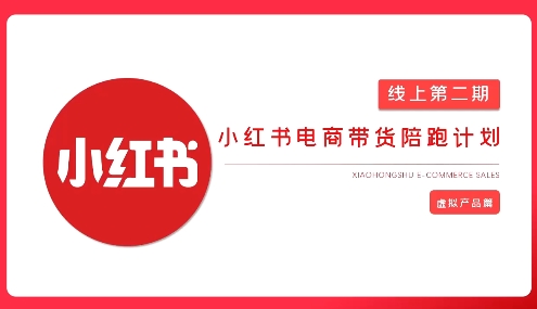2025小红书虚拟电商实战课，从0到1打造无货源店铺，AI+爆款笔记轻松变现-项目创薪