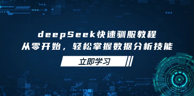deepSeek快速驯服教程，从零开始，轻松掌握数据分析技能-项目创薪