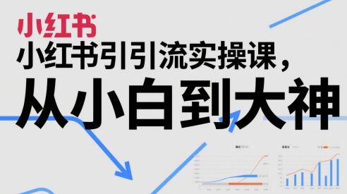小红书引流实操课，从小白到大神-项目创薪