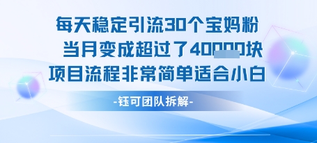 每天稳定引流30个人 当月变成超过了4个W项目流程非常简单适合小白-项目创薪