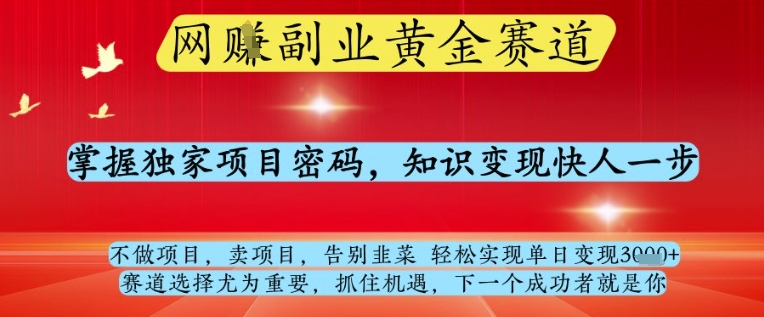 网创副业黄全赛道，掌握独家项目密码，知识变现快人一步，告别韭菜轻松实现单日变现1k+【揭秘】-项目创薪
