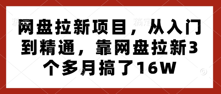 网盘拉新项目，从入门到精通，靠网盘拉新3个多月搞了16W-项目创薪