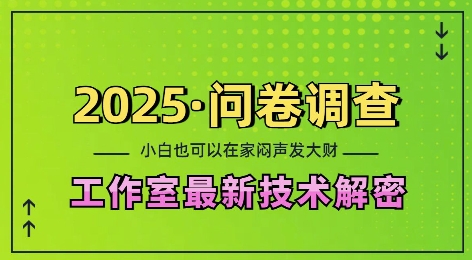 2025问卷调查最新工作室技术解密：一个人在家也可以闷声发大财，小白一天2张，可矩阵放大【揭秘】-项目创薪