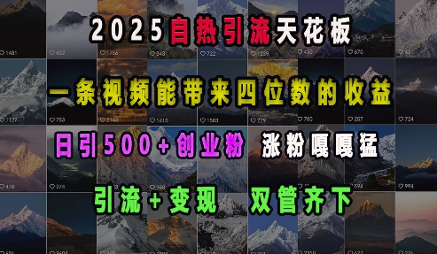 2025自热引流天花板，一条视频能带来四位数的收益，引流+变现双管齐下，日引500+创业粉，涨粉嘎嘎猛-项目创薪