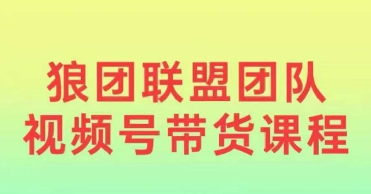 狼团联盟2024视频号带货，0基础小白快速入局视频号-项目创薪