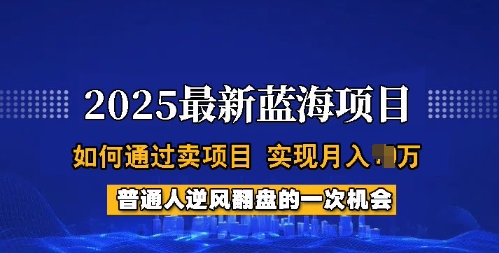 2025蓝海项目，普通人如何通过卖项目，实现月入过W，全过程【揭秘】-项目创薪