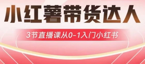 小红薯达人带货启航计划，3节直播课从0-1入门小红书-项目创薪