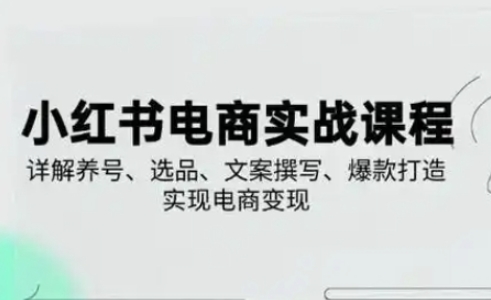 小红书从0-1实操课(2023-2025)，详解养号、选品、文案撰写、爆款打造实现电商变现-项目创薪
