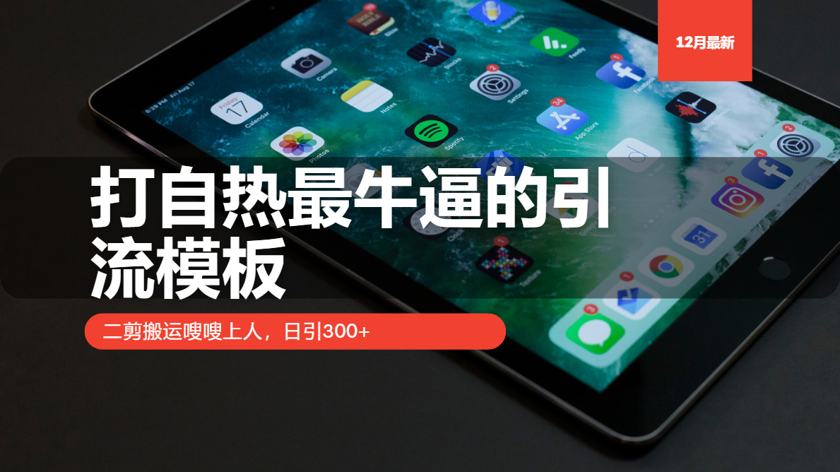 打自热最牛逼的引流模板，二剪搬运嗖嗖上人，日引300+-项目创薪