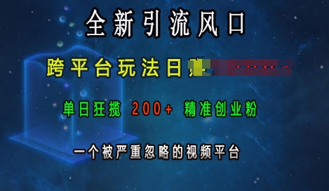 全新引流风口，跨平台玩法日入上k，单日狂揽200+精准创业粉，一个被严重忽略的视频平台-项目创薪