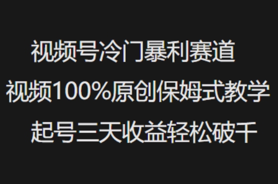 视频号冷门暴利赛道视频100%原创保姆式教学起号三天收益轻松破千-项目创薪