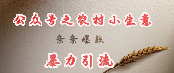 deepseek写农村小项目，条条爆款，暴力引流-项目创薪