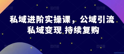 私域进阶实操课，公域引流 私域变现 持续复购-项目创薪