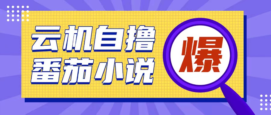 首发云手机自撸小说玩法，10块钱成本可撸200+收益操作简单【揭秘】-项目创薪
