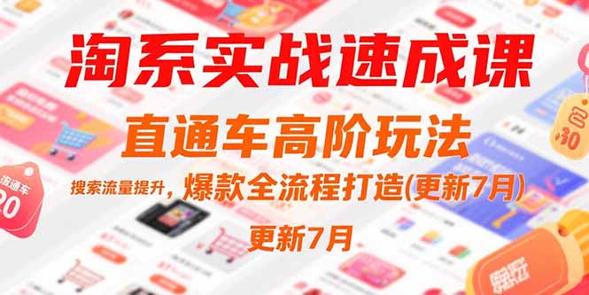 淘系实战速成课，直通车高阶玩法，搜索流量提升，爆款全流程打造(更新7月-项目创薪